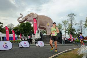 BIB: 
                            <button type="button" onclick="openModal(26528415)" class="btn btn-primary btn-sm float-right btn-popup" data-toggle="modal" data-target=".modal-high-quality">
                        <i class="fas fa-shopping-cart"></i> Add to Cart
                    </button>
                                            <button type="button" onclick="isThisMe(26528415, true)" class="btn btn-success btn-sm float-right btn-popup btn-isme hidden" data-toggle="tooltip" data-placement="bottom" title="นี่คือรูปของคุณใช่ไหม คลิกที่นี่เพื่อเอาเข้าอัลบั้ม">
                        <i class="fas fa-plus"></i> Add to album
                    </button>
                    <button type="button" onclick="isThisMe(26528415, false)" class="btn btn-warning btn-sm float-right btn-popup btn-isnotme hidden">
                        <i class="fas fa-ban"></i> Remove from album
                    </button>